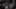 2019 Ford Mustang Shelby GT350