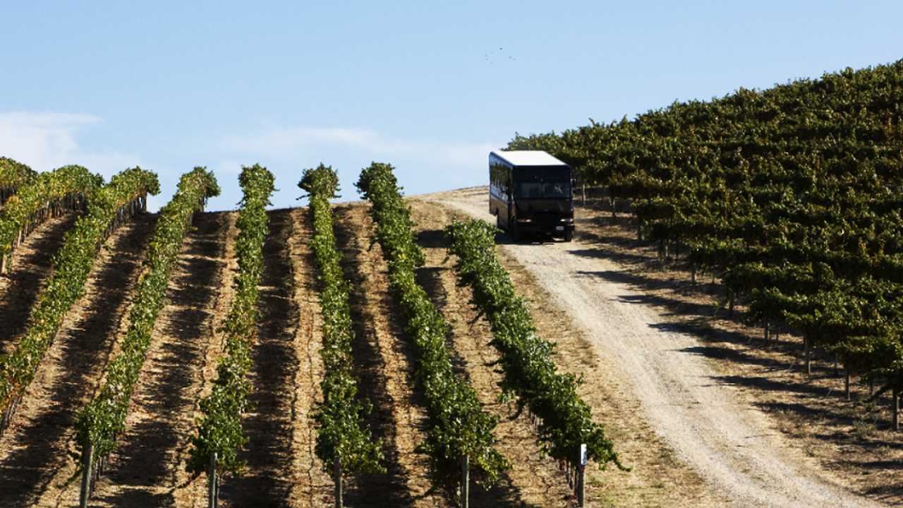 Trasporto vino UPS