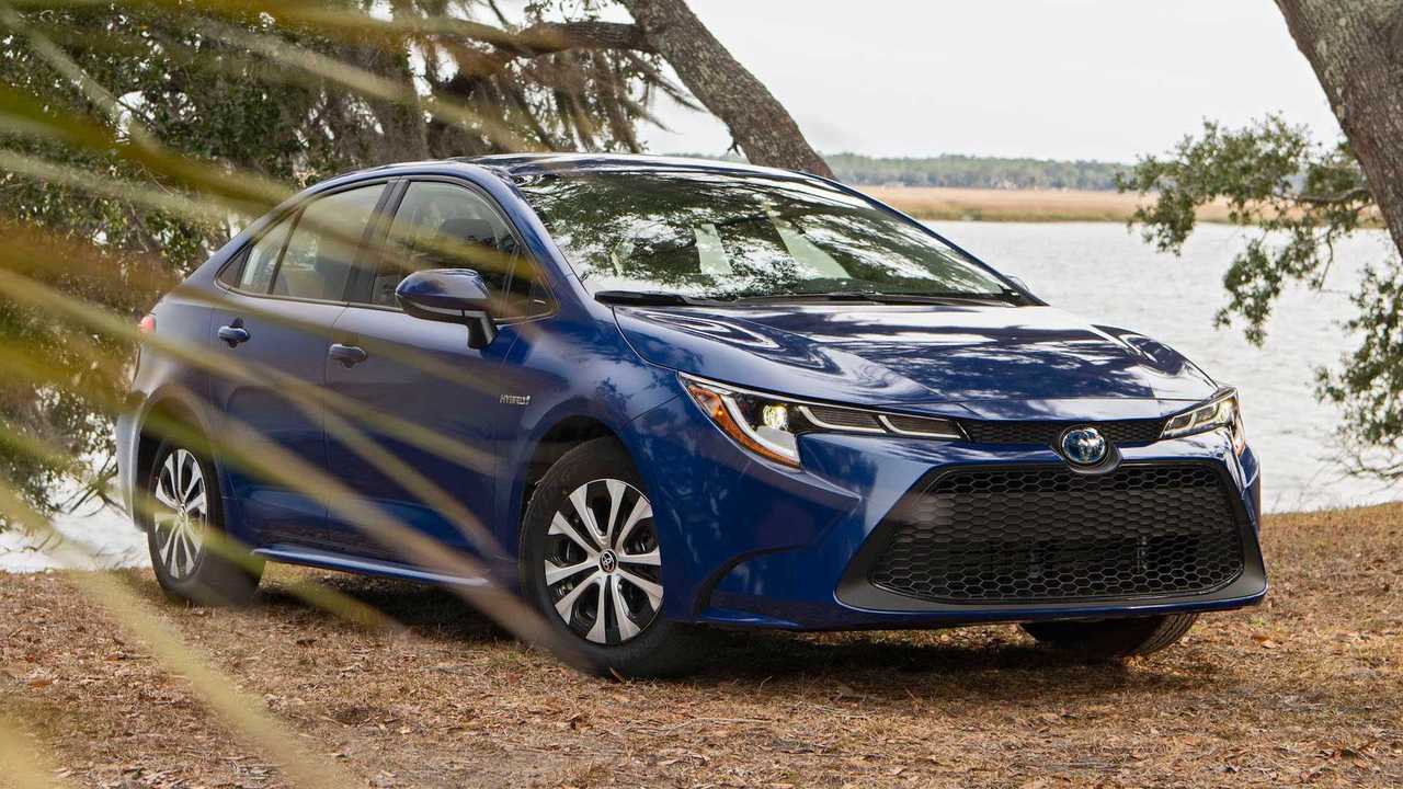 Toyota Corolla Lead