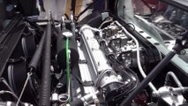 Lamborghini Marzal Konsepti Concorso d'Eleganza Villa d'Este'de Sergileniyor