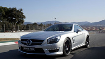 2013 Mercedes-Benz SL63 AMG 21.02.2012