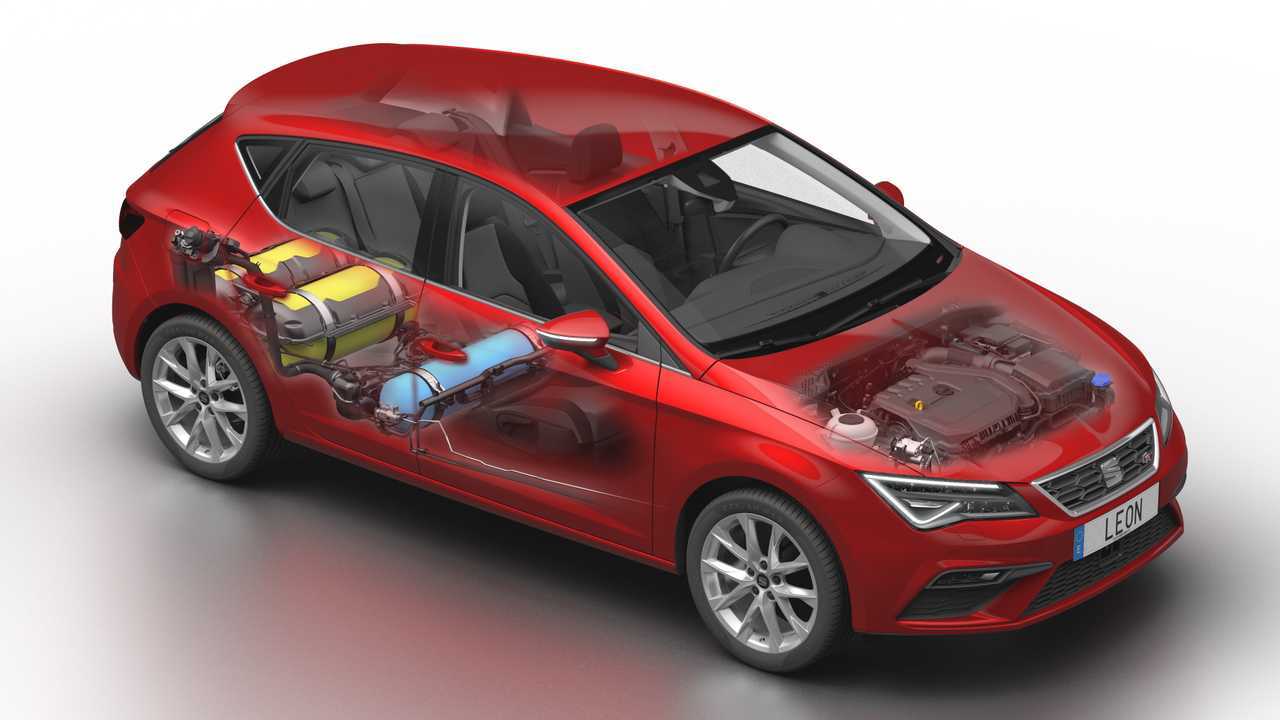 Gama ecológica SEAT TGI 2019