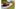 <em>Tesla Model X hits the road</em>