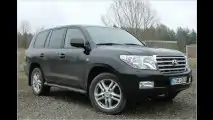 Japanischer Kraxler