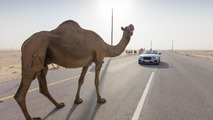 BENTLEY DESERT TRAIN RACE