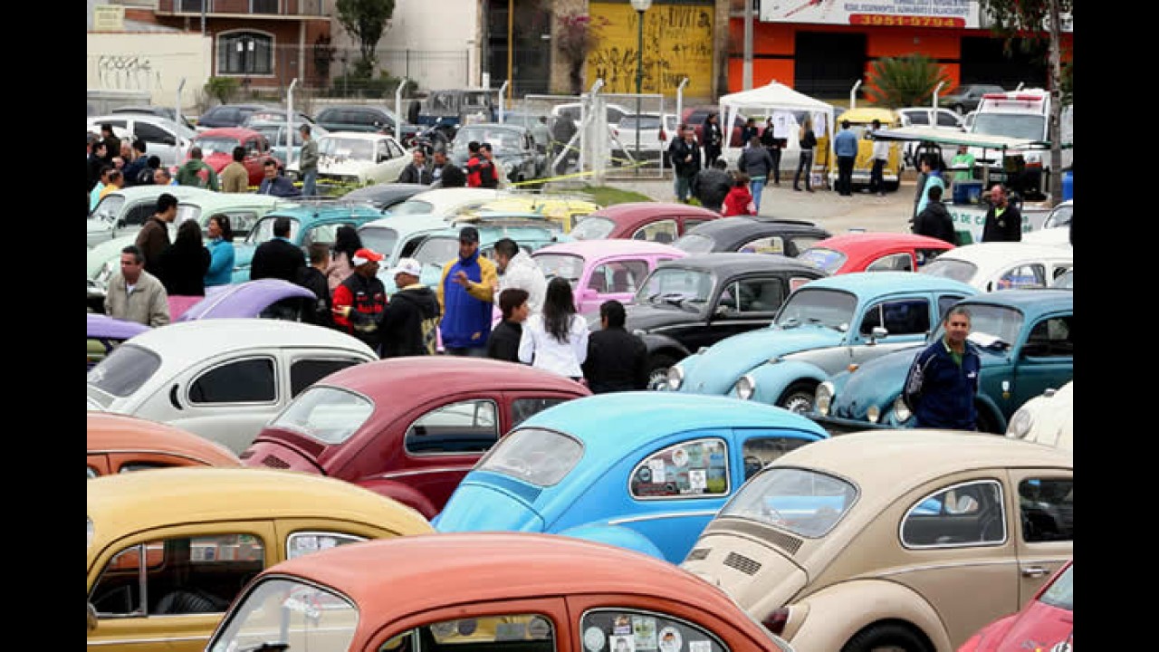 Encontro marca o Dia do Fusca em Jacareí - SP