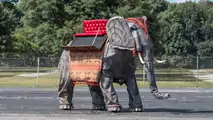 Mechanical Elephant Auction