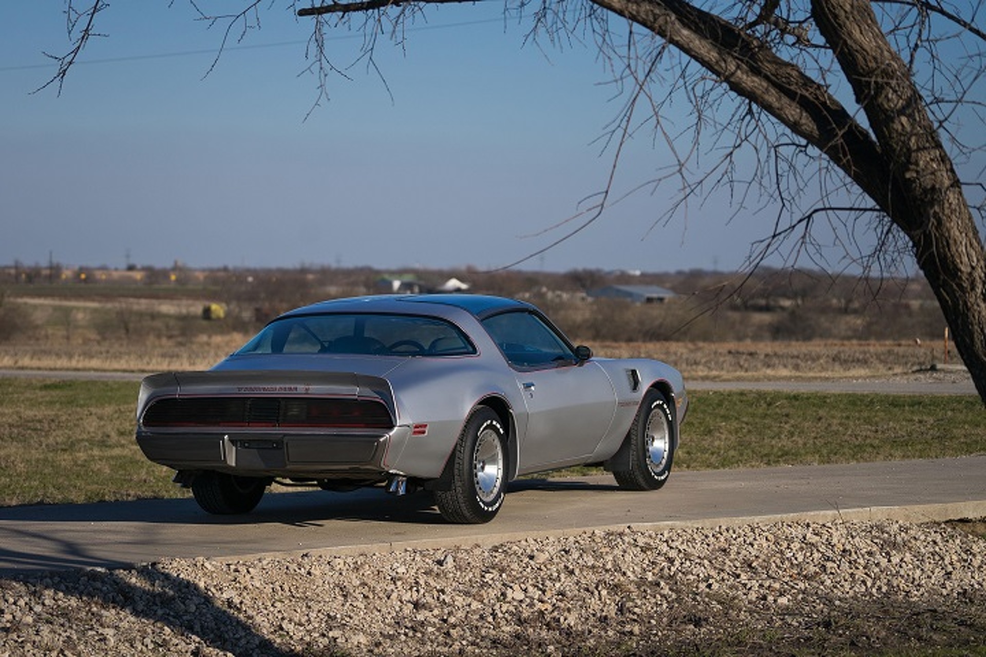 Rare 10th Anniversary 1979 Pontiac Firebird Trans Am Going to Auction