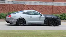 2019 Shelby Mustang GT500 Spy Photos