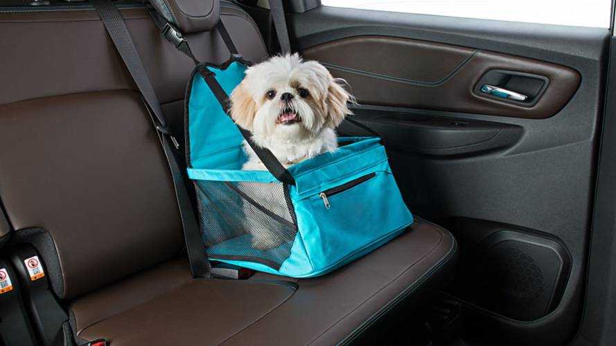 Transporte de pets - Chevrolet