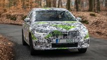 Skoda Fabia (2021) Covered Drive