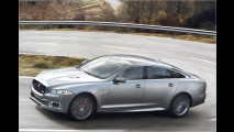 Jaguar XJR: Bären-Katze