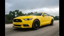 Pony rennt 335 km/h