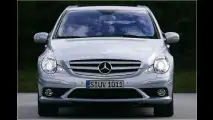 Endlich mit Profil