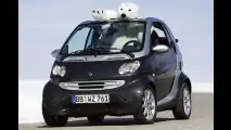 Smart-Sondermodelle
