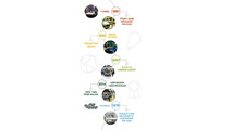 Skoda, Volkswagen markası altında 15 milyon araç üretti