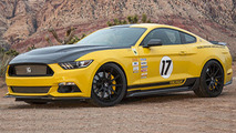 Shelby Terlingua Mustang