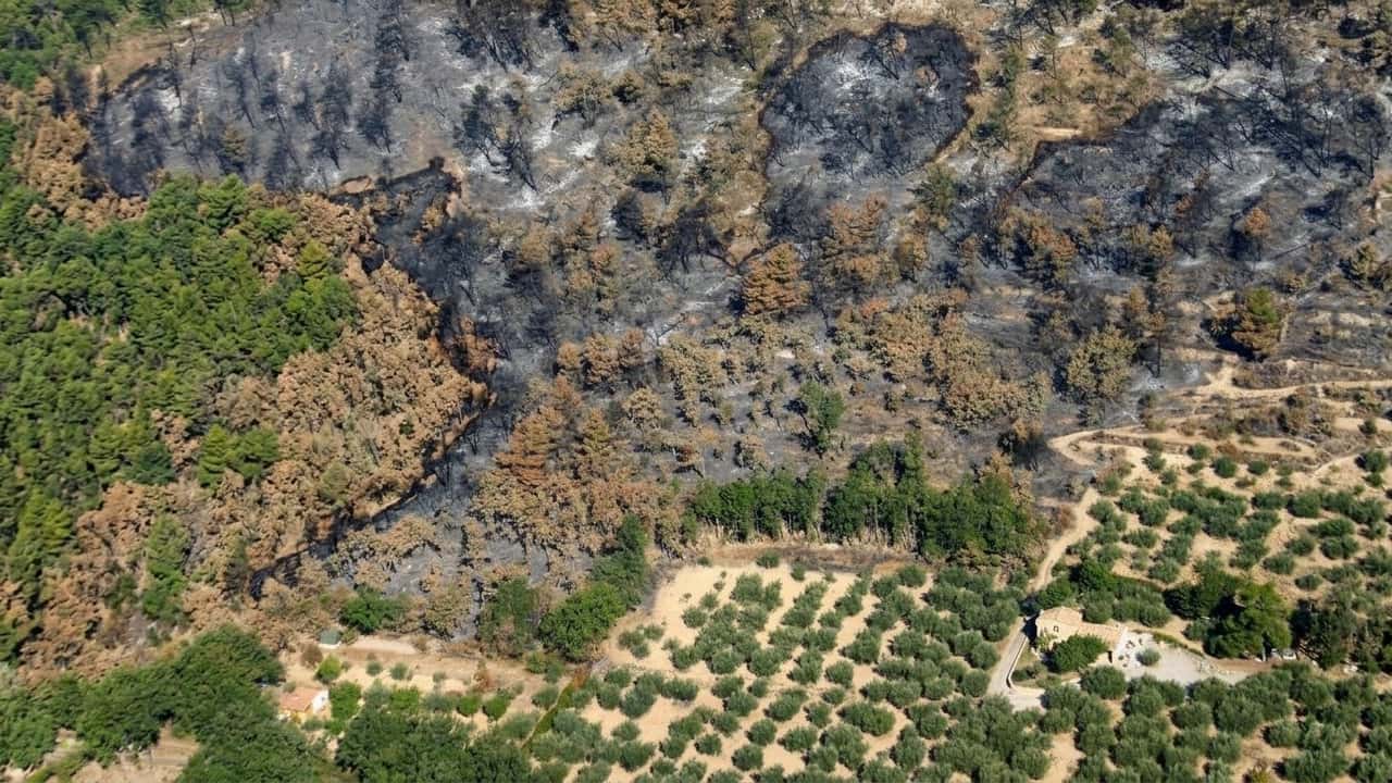 incendi-2025-il-40-dei-roghi-ha-colpito-terreni-ag-mod-msda0xpy