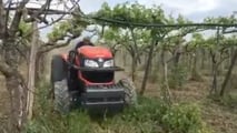 Abbinare gomme e trattori specialistici ribassati nei vigneti a pergola