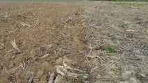 Terreni agricoli a under 41: bando Ismea aperto