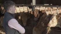 Giovani agricoltori under 35: calano ma reggono meglio