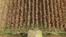 Contributi agricoltura 2026: tutte le aliquote aggiornate