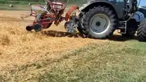 Strip till per soia: preparare il letto di semina solo in fila