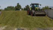 Progettazione silo: cubatura, umidità foraggi e compressione per conservare al meglio trinciati e insilati in trincea