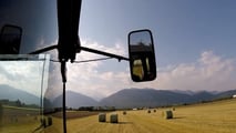 Come adattare la coltivazione del loietto agli stress idrici?