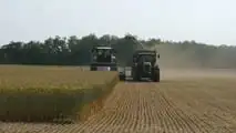 Come migliorare fermentazione e stabilità dell’insilato di triticale?