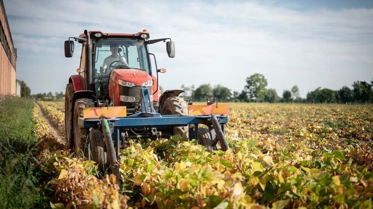 Sacchetto replica a Feltri sul ruolo dell’agricoltura