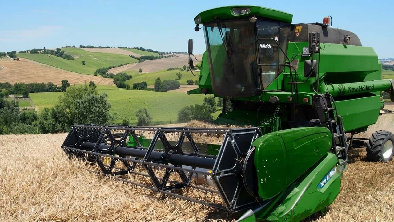 grano-duro-resa-media-a-6-3-t-ha-cosa-indicano-davvero-le-prove-2025-26-del-crea