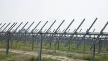 Bobcat in campo nel Delta del Po: i mezzi protagonisti di un maxi impianto agro-fotovoltaico a Loreo
