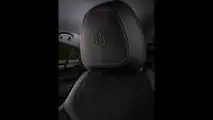 Alfa Romeo Stelvio Quadrifoglio (2023) im Test