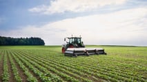 12Steps: la protezione robotica delle colture in Italia