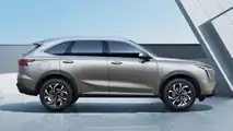 Haval Xiaolong Max PHEV (B07)