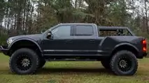 MegaRexx MegaRaptor 7