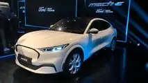Ford E-Transit e Mustang Mach-E (Argentina)