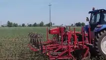 Lemken  punta sul diserbo ecocompatibile di Steketee