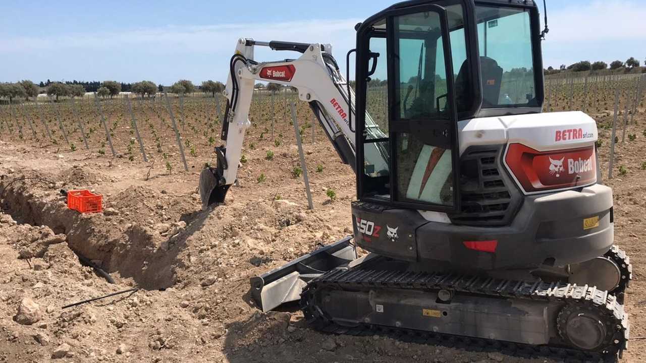 Bobcat E50z vigneto