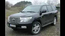 Japanischer Kraxler