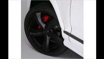 VW: Royster GT 460
