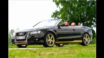 Schwarz-rot-goldener A5