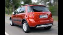 Suzuki mit Feinschliff