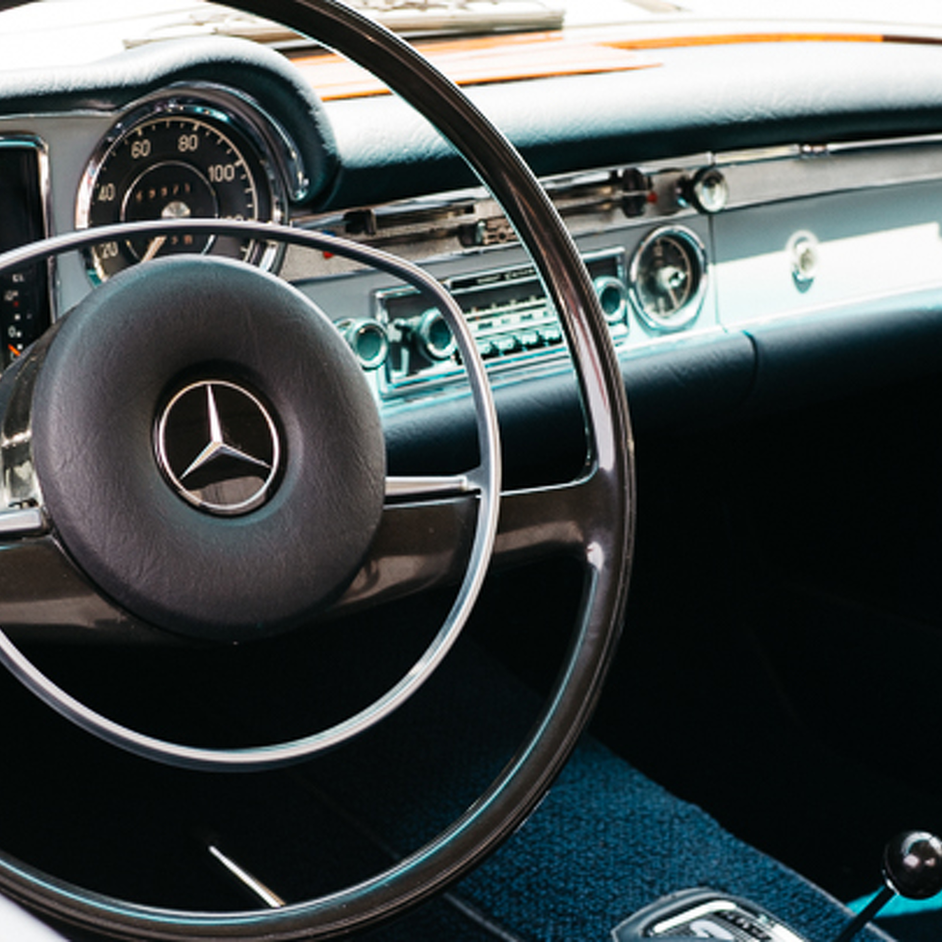 Let Your Imagination Run Wild At Auctions America