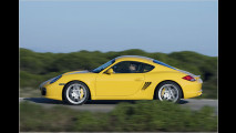 Cayman S: Mehr Biss