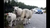Knauserig von A nach B