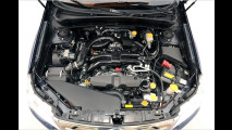 Trainierter Boxer