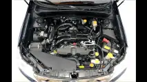 Trainierter Boxer