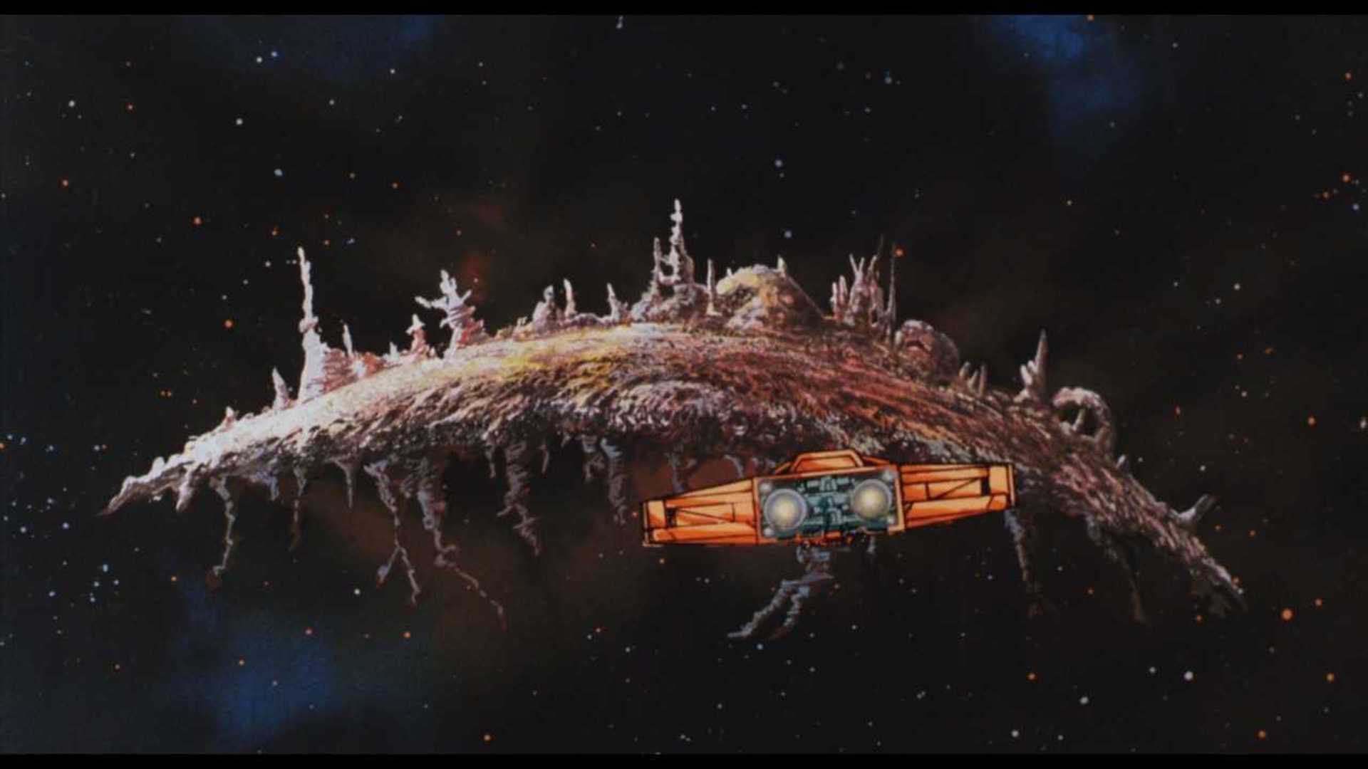 Local Cybertronians Discover MotorcycleBased Life Forms